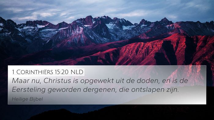 1 Corinthiërs 15:20 NLD Bible Verse Image