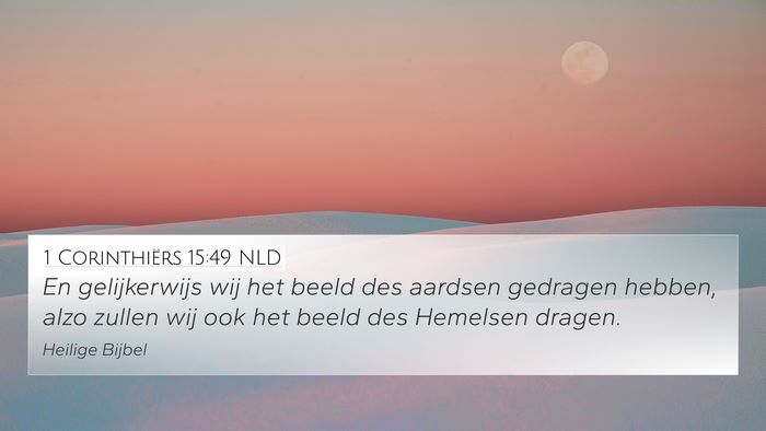 1 Corinthiërs 15:49 NLD Bible Verse Image
