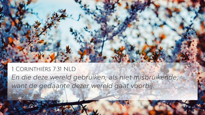 1 Corinthiërs 7:31 NLD Bible Verse Image