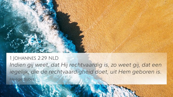 1 Johannes 2:29 NLD Bible Verse Image