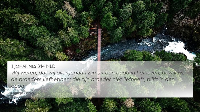 1 Johannes 3:14 NLD Bible Verse Image