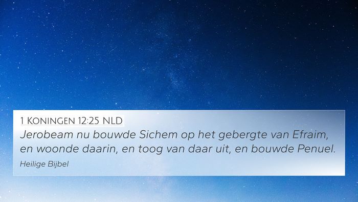1 Koningen 12:25 NLD Bible Verse Image
