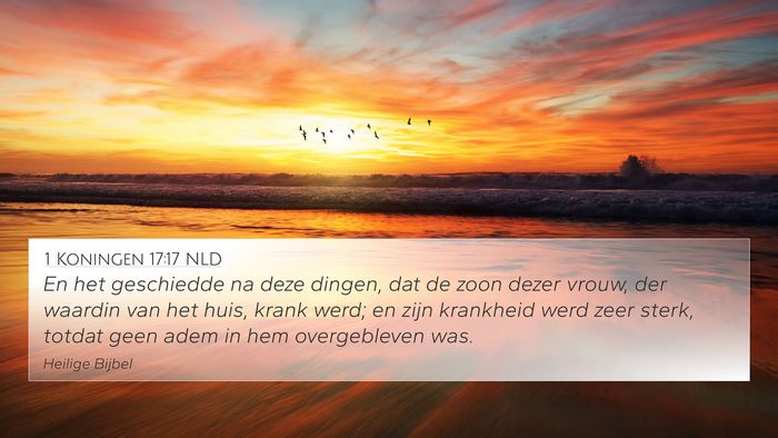 1 Koningen 17:17 NLD Bible Verse Image