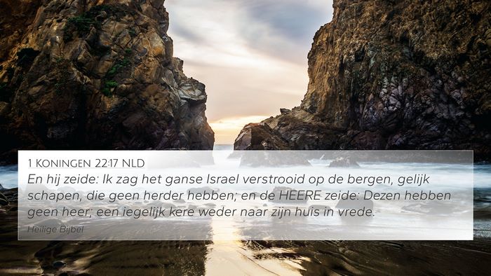 1 Koningen 22:17 NLD Bible Verse Image