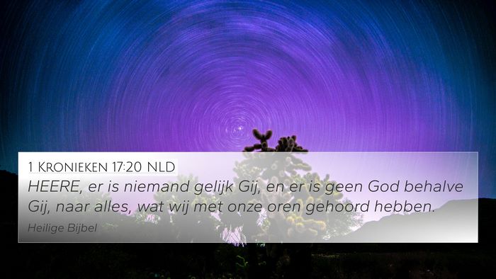 1 Kronieken 17:20 NLD Bible Verse Image