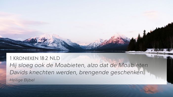 1 Kronieken 18:2 NLD Bible Verse Image