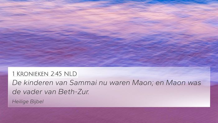 1 Kronieken 2:45 NLD Bible Verse Image