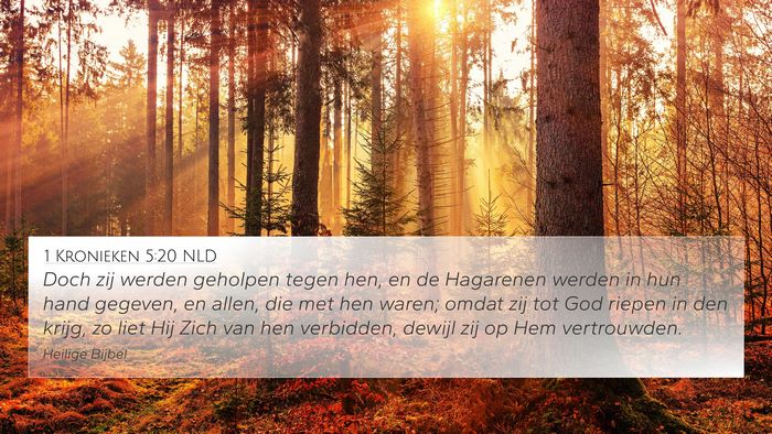 1 Kronieken 5:20 NLD Bible Verse Image
