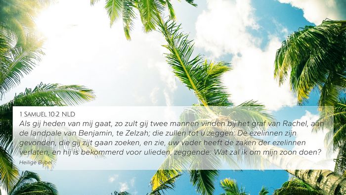 1 Samuël 10:2 NLD Bible Verse Image
