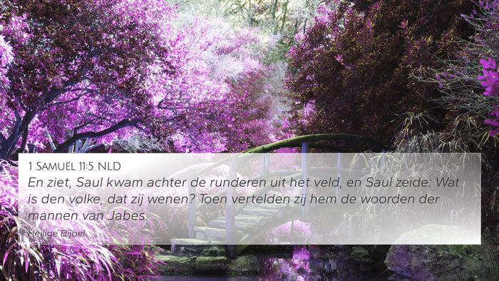 1 Samuël 11:5 NLD 4K Wallpaper - En ziet, Saul kwam achter de runderen uit het - 4K Wallpaper Bible Verse