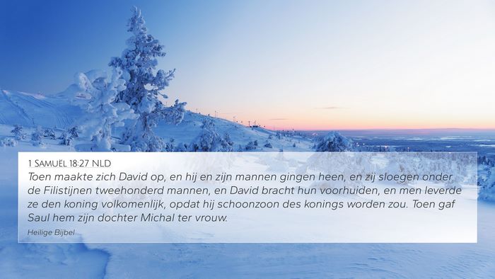 1 Samuël 18:27 NLD Bible Verse Image