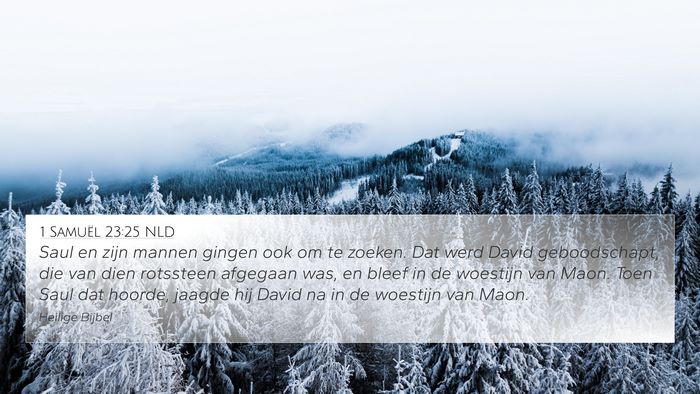 1 Samuël 23:25 NLD Bible Verse Image