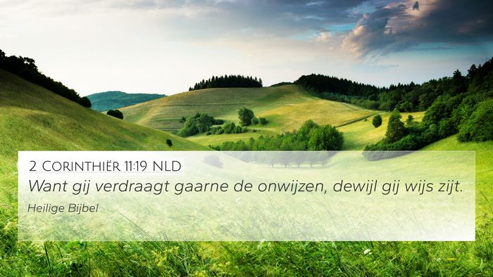 2 Corinthiër 11:19 NLD Bible Verse Image