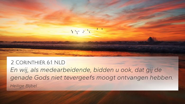 2 Corinthiër 6:1 NLD Bible Verse Image