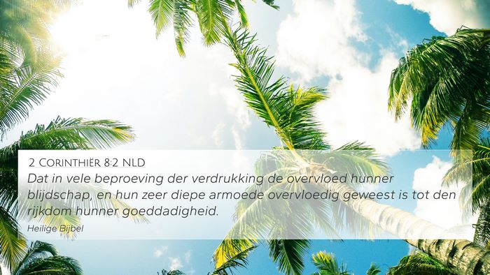 2 Corinthiër 8:2 NLD Bible Verse Image