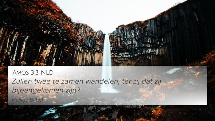 Amos 3:3 NLD 4K Wallpaper - Zullen twee te zamen wandelen, tenzij dat zij - 4K Wallpaper Bible Verse