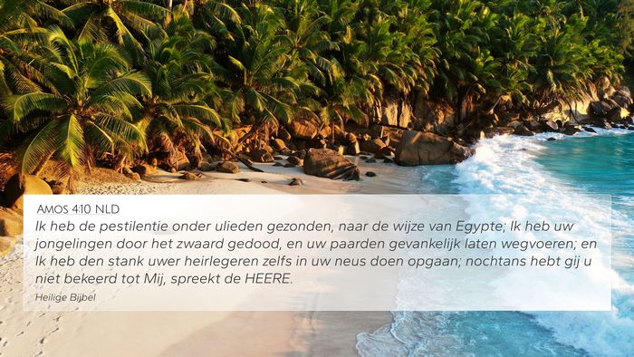 Amos 4:10 NLD 4K Wallpaper - Ik heb de pestilentie onder ulieden gezonden, - 4K Wallpaper Bible Verse