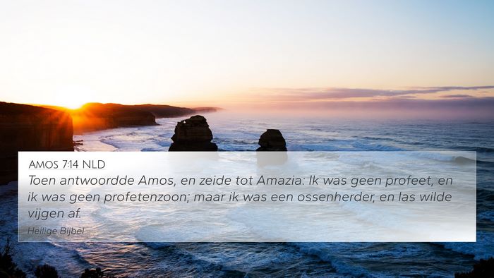 Amos 7:14 NLD Bible Verse Image