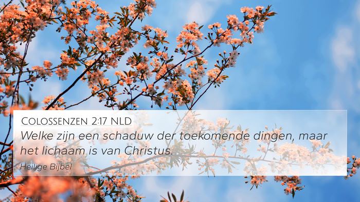 Colossenzen 2:17 NLD Bible Verse Image
