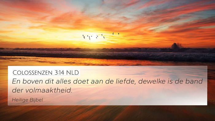 Colossenzen 3:14 NLD Bible Verse Image
