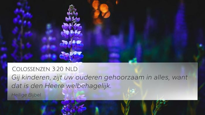 Colossenzen 3:20 NLD Bible Verse Image
