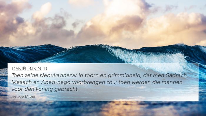 Daniël 3:13 NLD Bible Verse Image