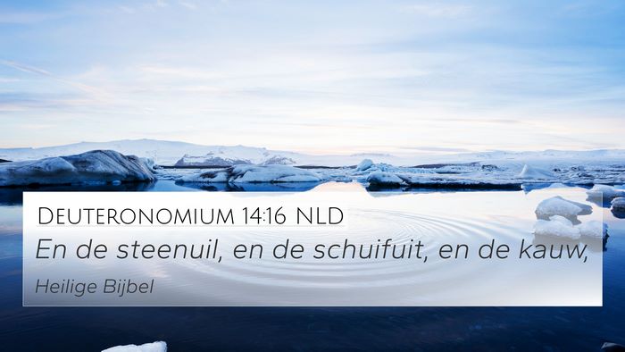 Deuteronomium 14:16 NLD 4K Wallpaper - En de steenuil, en de schuifuit, en de - 4K Wallpaper Bible Verse