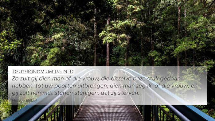 Deuteronomium 17:5 NLD Bible Verse Image