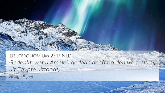 Deuteronomium 25:17 NLD Bible Verse Image