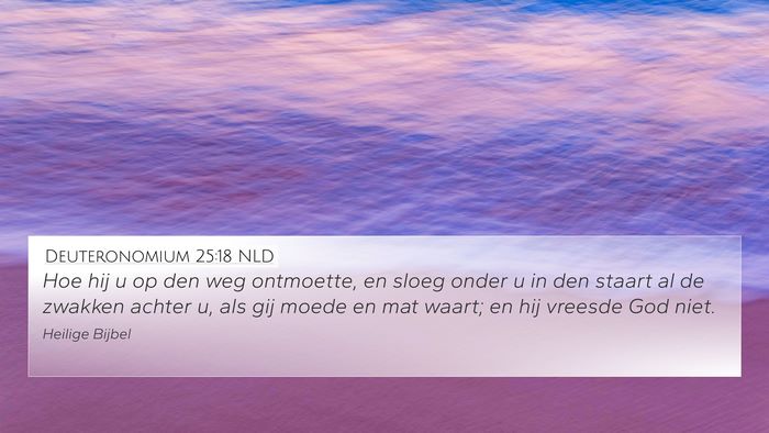 Deuteronomium 25:18 NLD Bible Verse Image