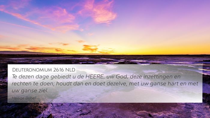 Deuteronomium 26:16 NLD Bible Verse Image