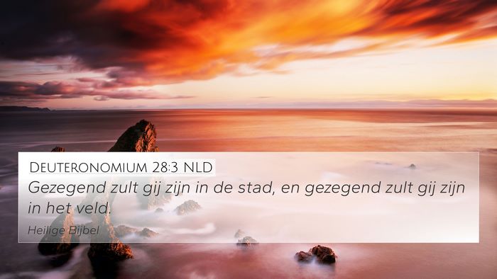 Deuteronomium 28:3 NLD Bible Verse Image