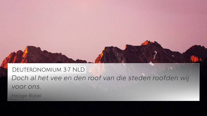 Deuteronomium 3:7 NLD 4K Wallpaper - Doch al het vee en den roof van die steden - 4K Wallpaper Bible Verse