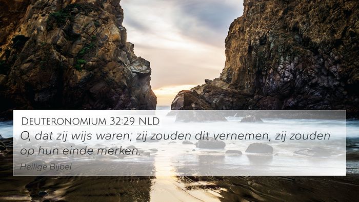 Deuteronomium 32:29 NLD Bible Verse Image