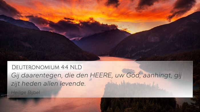 Deuteronomium 4:4 NLD Bible Verse Image