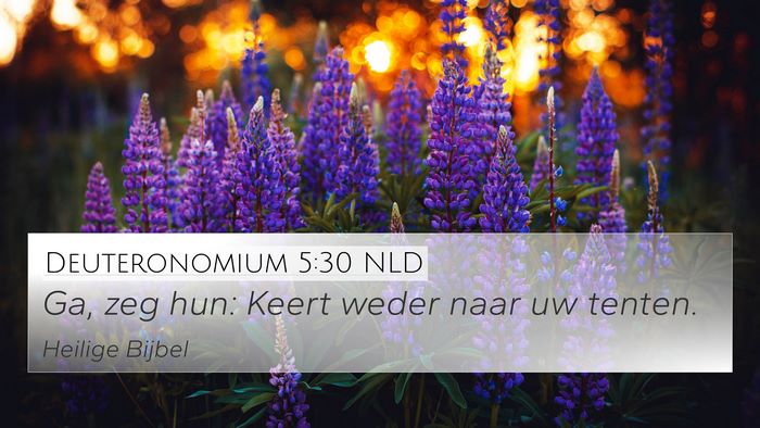Deuteronomium 5:30 NLD 4K Wallpaper - Ga, zeg hun: Keert weder naar uw - 4K Wallpaper Bible Verse