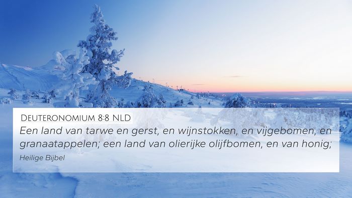 Deuteronomium 8:8 NLD 4K Wallpaper - Een land van tarwe en gerst, en wijnstokken, en - 4K Wallpaper Bible Verse