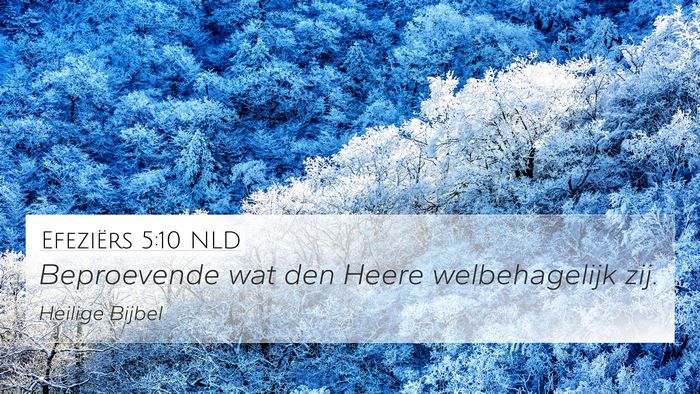Efeziërs 5:10 NLD Bible Verse Image