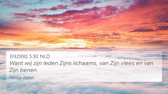 Efeziërs 5:30 NLD Bible Verse Image