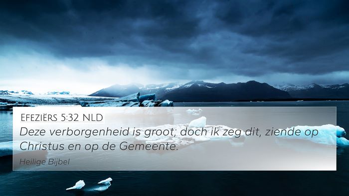 Efeziërs 5:32 NLD Bible Verse Image
