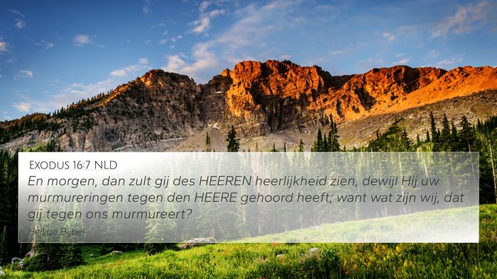 Exodus 16:7 NLD Bible Verse Image