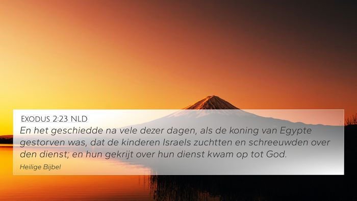 Exodus 2:23 NLD Bible Verse Image