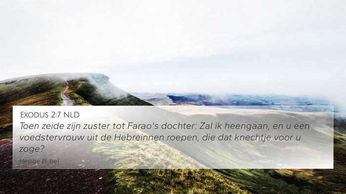 Exodus 2:7 NLD 4K Wallpaper - Toen zeide zijn zuster tot Farao's dochter: Zal - 4K Wallpaper Bible Verse