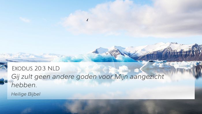 Exodus 20:3 NLD Bible Verse Image
