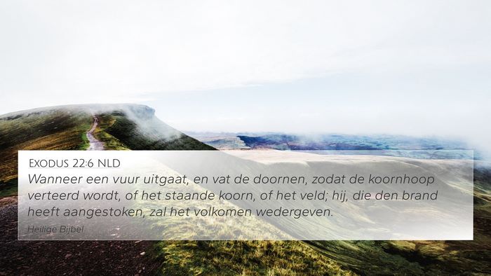 Exodus 22:6 NLD Bible Verse Image