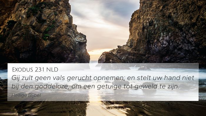Exodus 23:1 NLD Bible Verse Image