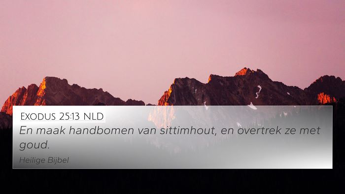 Exodus 25:13 NLD Bible Verse Image