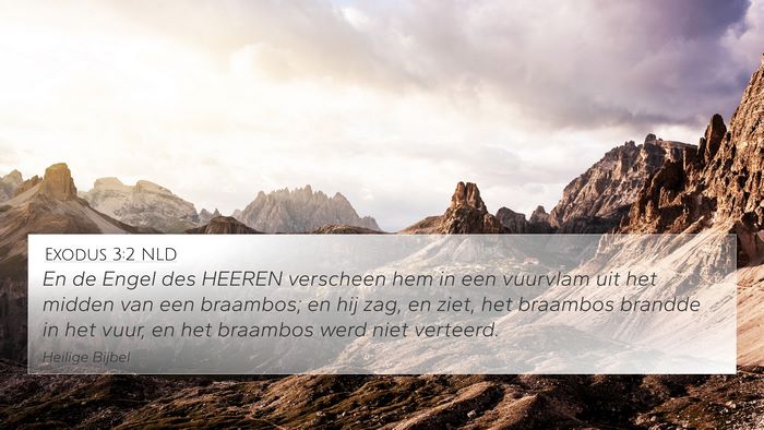 Exodus 3:2 NLD Bible Verse Image