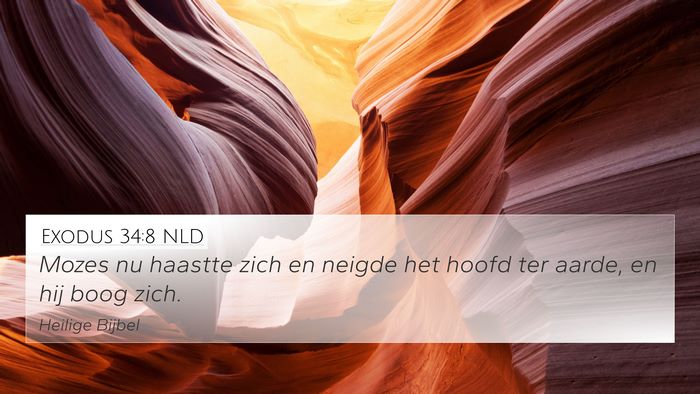 Exodus 34:8 NLD Bible Verse Image