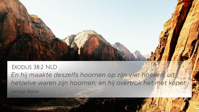 Exodus 38:2 NLD Bible Verse Image